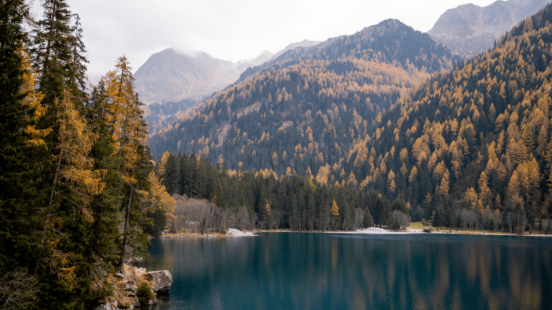 Sur les traces des Glaciers Vosgiens